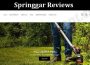 Springgar Online Reviews