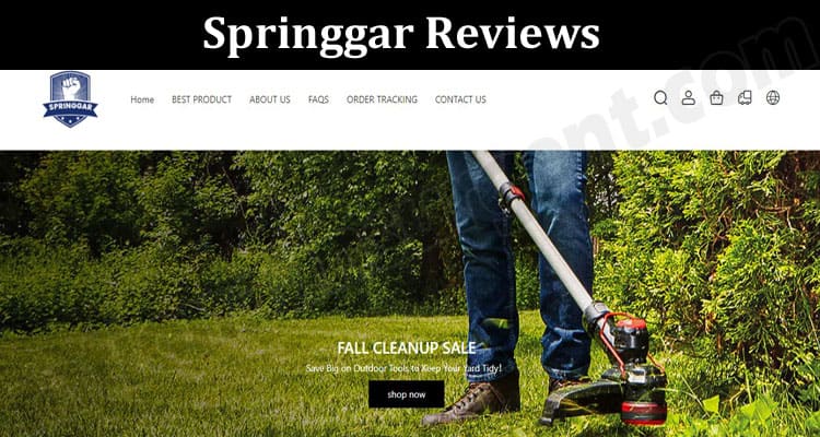 Springgar Online Reviews