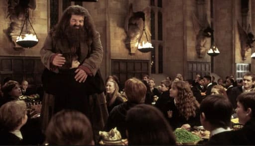 The death of Harry Potter Cast Robbie Coltrane