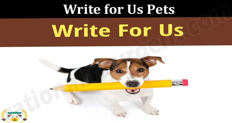 About General Information Write For Us Pets