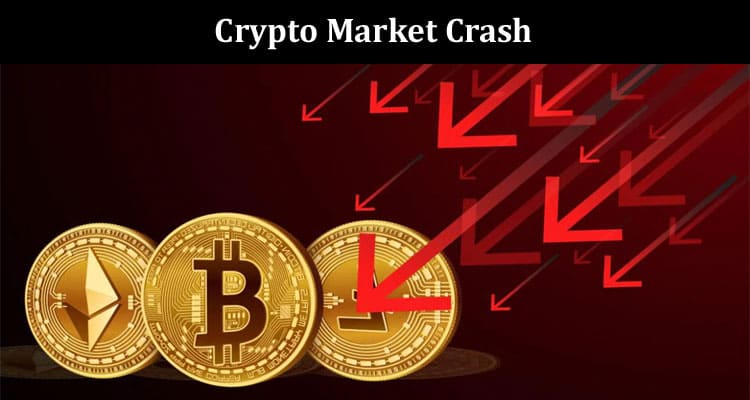 Crypto Market Crash - Best Altcoins to Buy In Dip