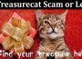 Is Treasurecat Scam or Legit