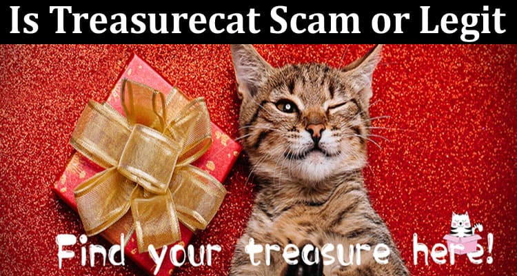 Is Treasurecat Scam or Legit
