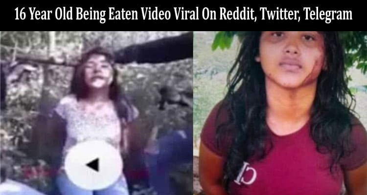 Latest News 16 Year Old Being Eaten Video Viral On Reddit, Twitter, Telegram