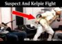 Latest News Suspect And Kelpie Fight