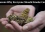 Top 10 Reasons Why Everyone Should Smoke Cannabis