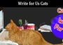About General Information Write for Us Cats