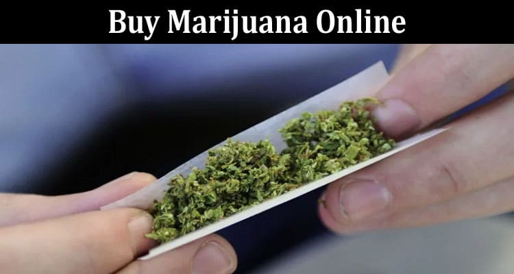 Factors to Consider When You Buy Marijuana Online