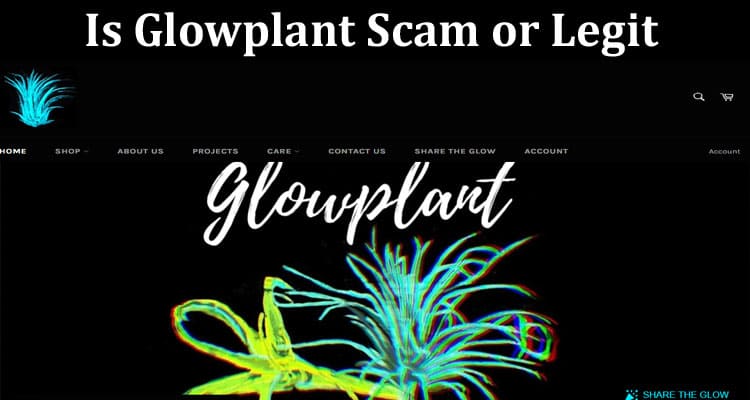 Glowplant Online Website Reviews