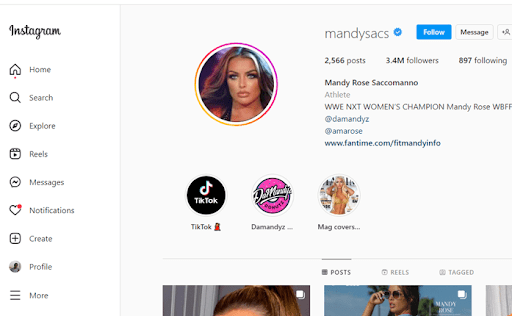 Instagram account of Mandy Rose
