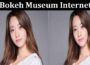 Latest News Bokeh Museum Internet