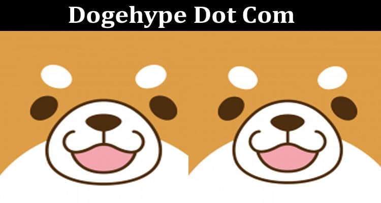 Latest News Dogehype Dot Com
