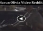 Latest News Harun Olivia Video Reddit