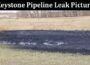 Latest News Keystone Pipeline Leak Pictures