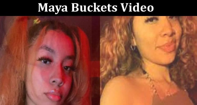 Latest News Maya Buckets Video