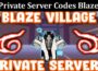 Latest News Private Server Codes Blaze