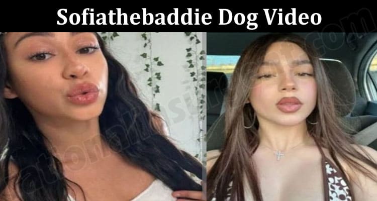 Latest News Sofiathebaddie Dog Video
