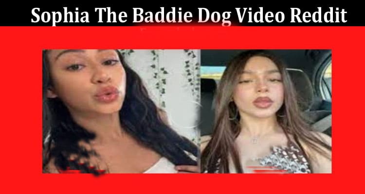 Latest News Sophia The Baddie Dog Video Reddit