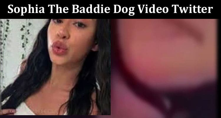 Latest News Sophia The Baddie Dog Video Twitter