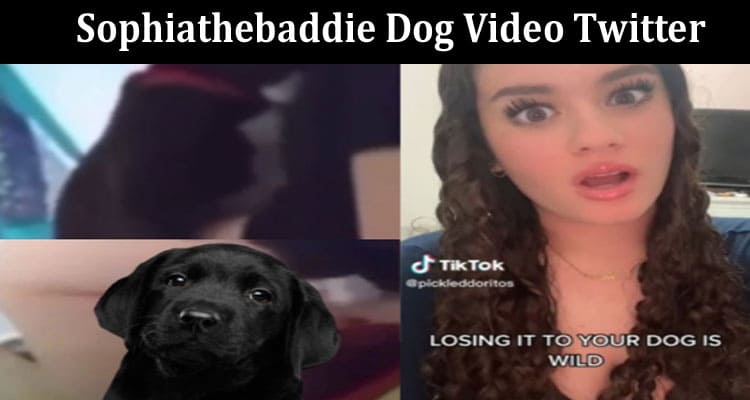 Latest News Sophiathebaddie Dog Video Twitter