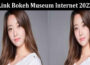 latest news Link Bokeh Museum Internet 2022