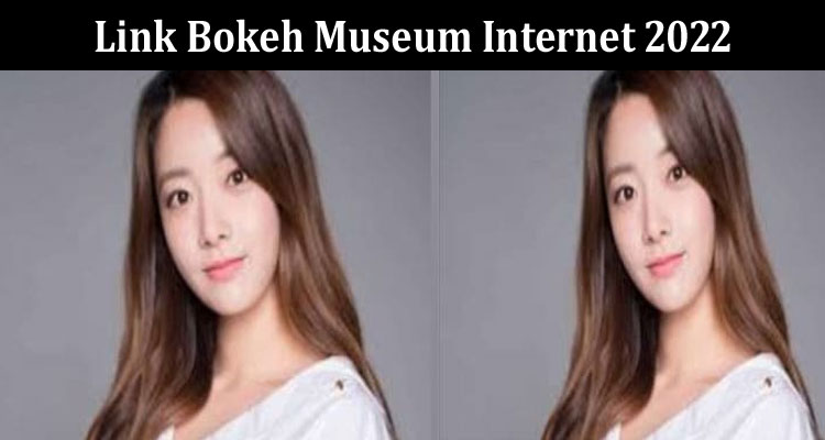 latest news Link Bokeh Museum Internet 2022