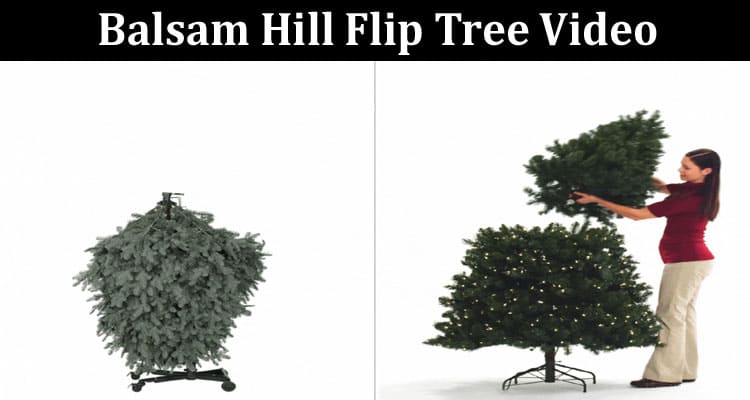 Latest News Balsam Hill Flip Tree Video