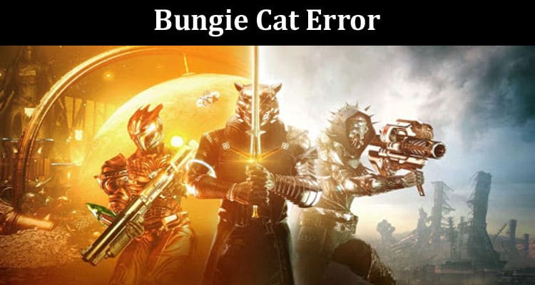 Latest News Bungie Cat Error