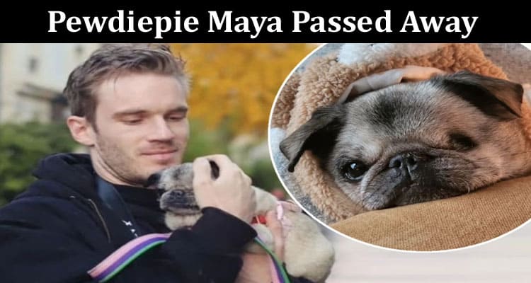 Latest News Pewdiepie Maya Passed Away