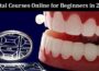 6 Top-Notch Dental Courses Online for Beginners in 2023