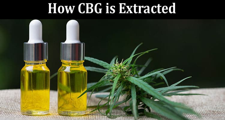 How CBG is Extracted, Stored, Priced, Consumed and More