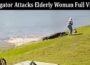 Latest News Alligator Attacks Elderly Woman Full Video