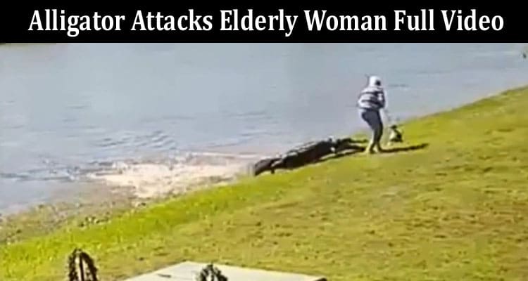 Latest News Alligator Attacks Elderly Woman Full Video