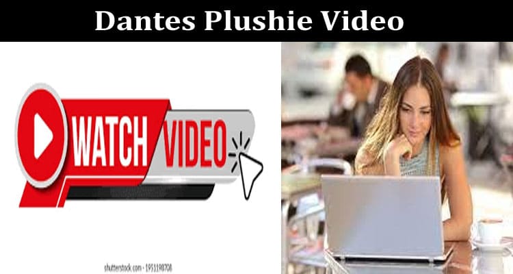 Latest News Dantes Plushie Video