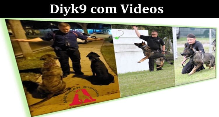 Latest News Diyk9 Com Videos