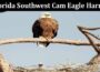 Latest News Florida Southwest Cam Eagle Harriet