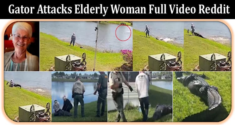 Latest News Gator Attacks Elderly Woman Full Video Reddit
