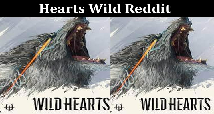 Latest News Hearts Wild Reddit