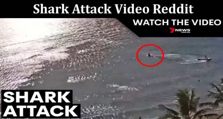 Latest News Shark Attack Video Reddit
