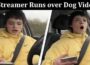 Latest News Streamer Runs over Dog Video