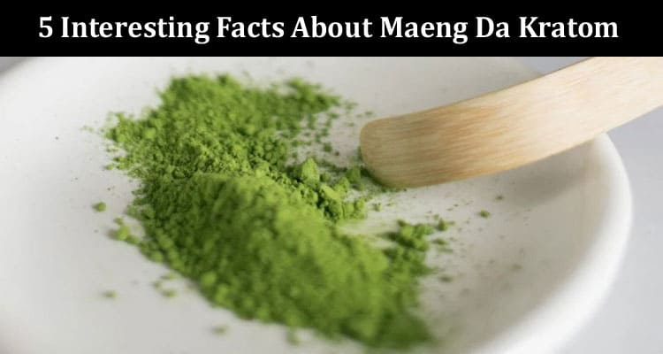 Top 5 Interesting Facts About Maeng Da Kratom