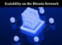 Complete Information Scalability on the Bitcoin Network