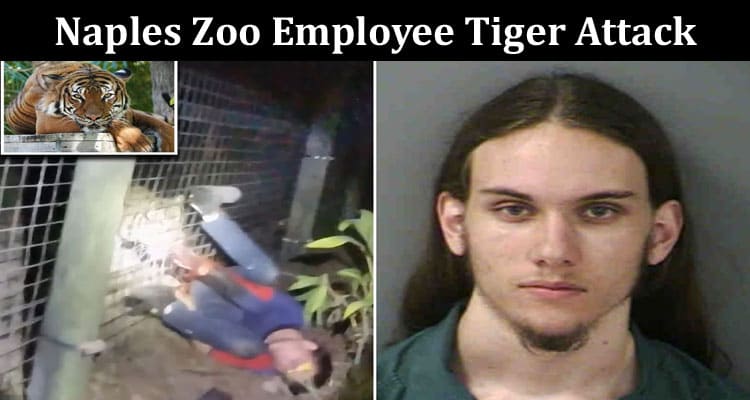 Latest News Naples Zoo Employee Tiger Attack