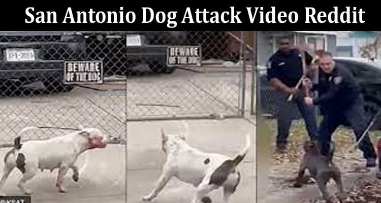 Latest News San Antonio Dog Attack Video Reddit