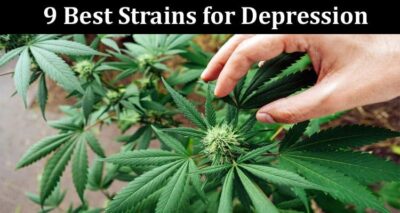 Top 9 Best Strains for Depression