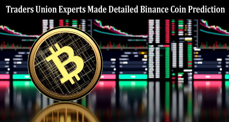 Traders Union Experts Made Detailed Binance Coin Prediction