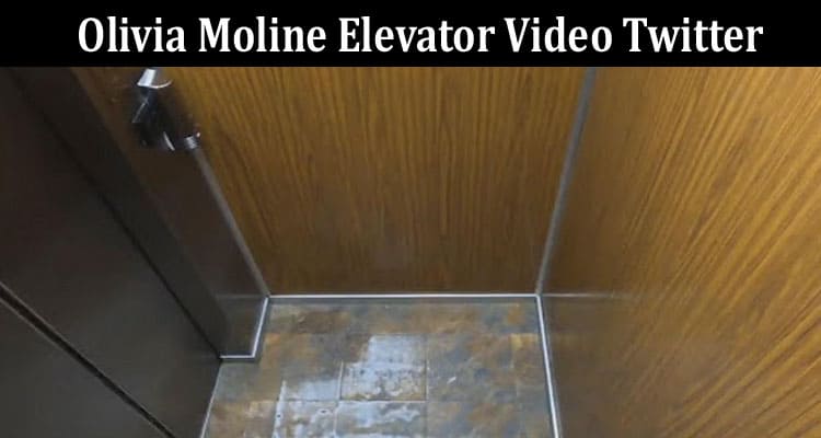 Latest News Olivia Moline Elevator Video Twitter