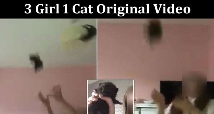 Latest News 3 Girl 1 Cat Original Video