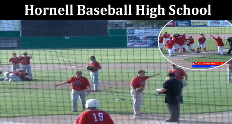 Latest News Hornell Baseball High School