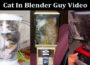 Latest News. Cat In Blender Guy Video